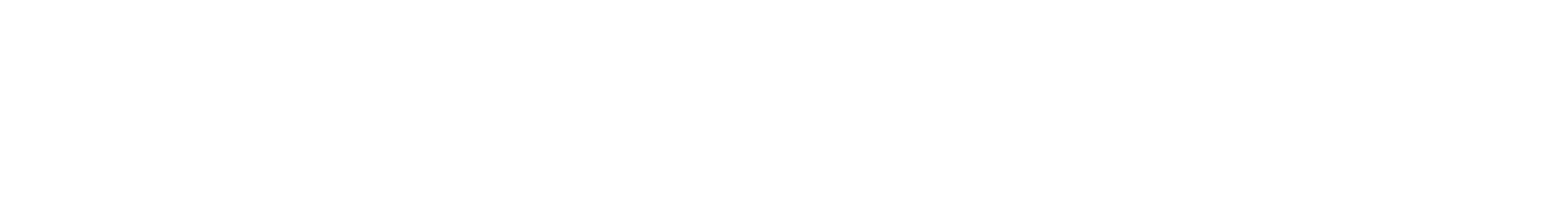 NAPS - National Academy of Professional Studies